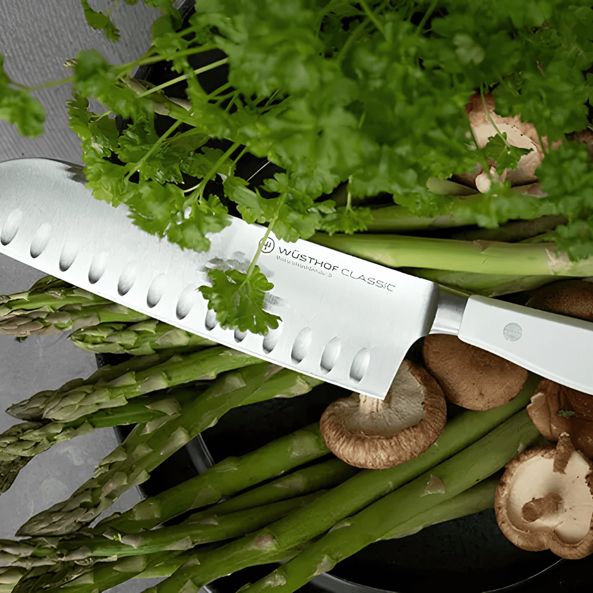 Cuchillo Santoku Classic White de 18 cm - Good Kitchen
